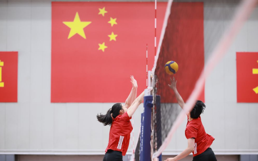 乐鱼体育平台网址的稳定性与可靠性分析